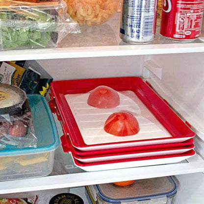 🔥Hot Sale 50% OFF🔥Food Preservation Tray