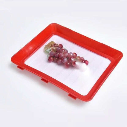 🔥Hot Sale 50% OFF🔥Food Preservation Tray