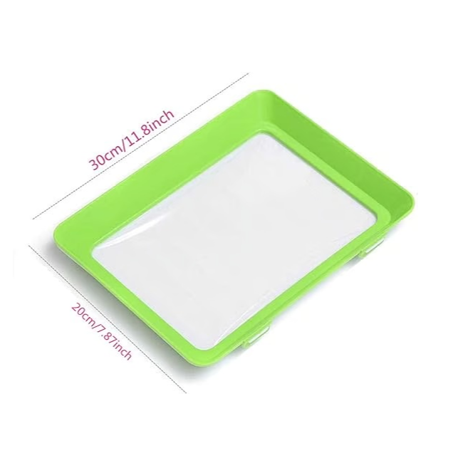 🔥Hot Sale 50% OFF🔥Food Preservation Tray