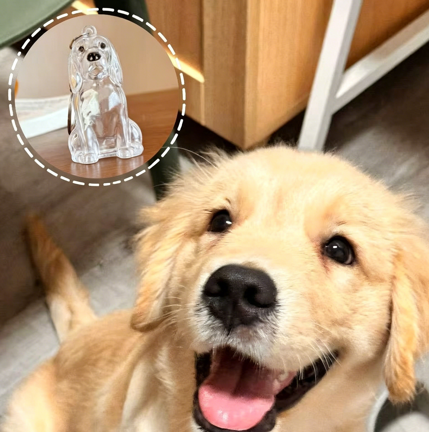 🏆Flash Sale 49%OFF❤️My Pet Keychain🐈🐕