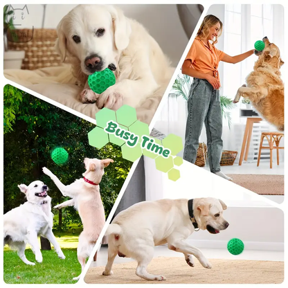 Two heavy-duty, durable dog chew toys with sound effects