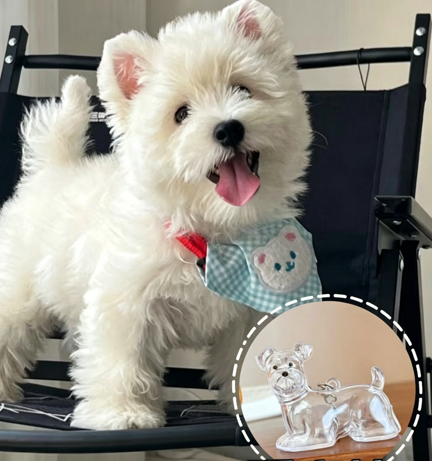 🏆Flash Sale 49%OFF❤️My Pet Keychain🐈🐕