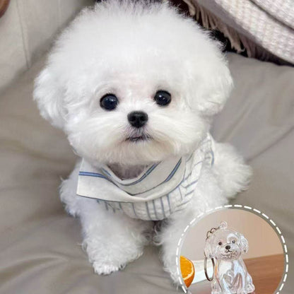 🏆Flash Sale 49%OFF❤️My Pet Keychain🐈🐕